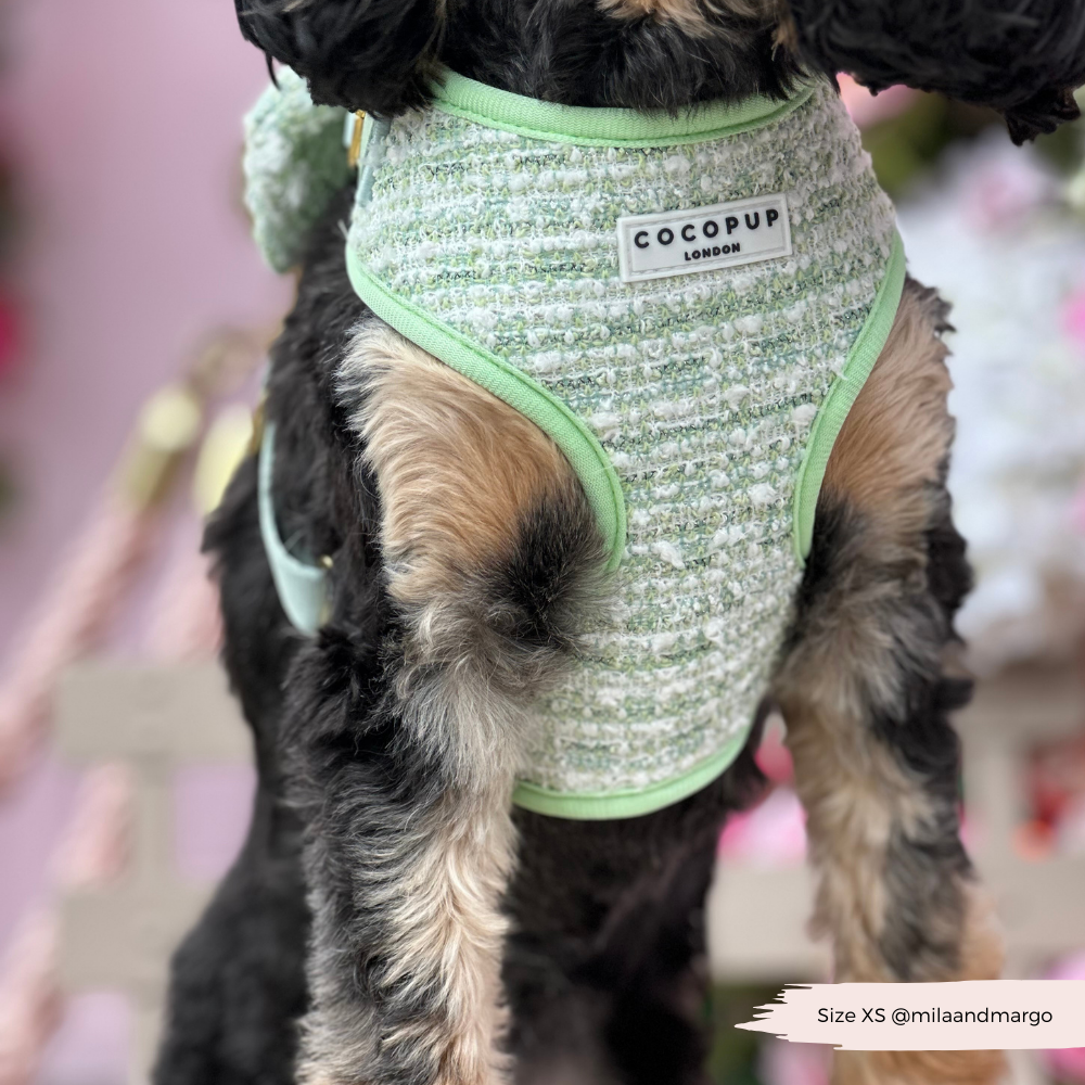 Matcha Textured Tweed Adjustable Neck Harness