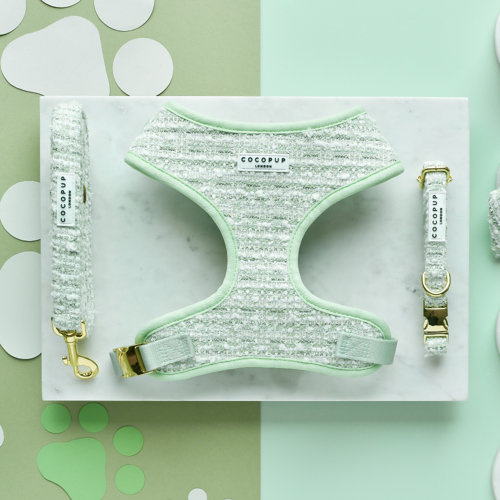 Matcha Textured Tweed Lead