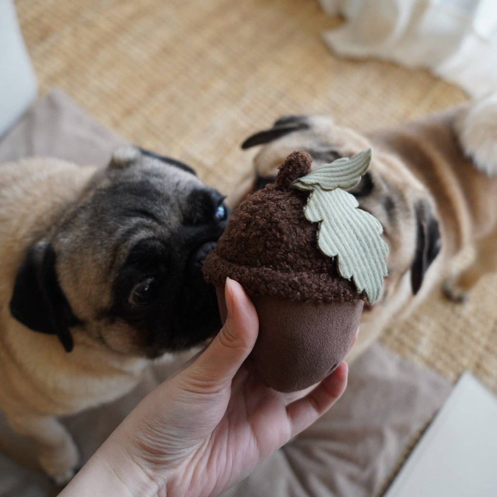 ACORN//Enrichment Toy