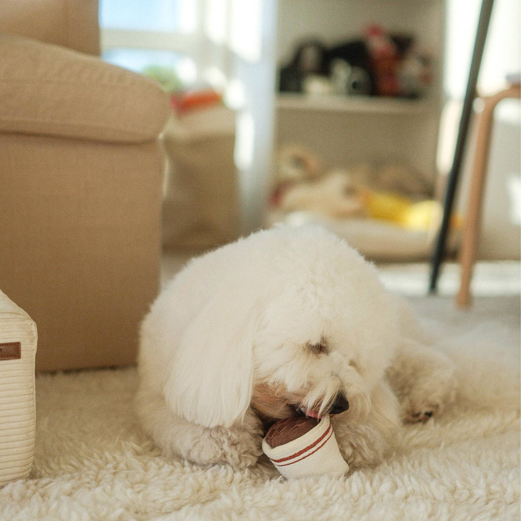 EXPRESSO POP//Enrichment Toy