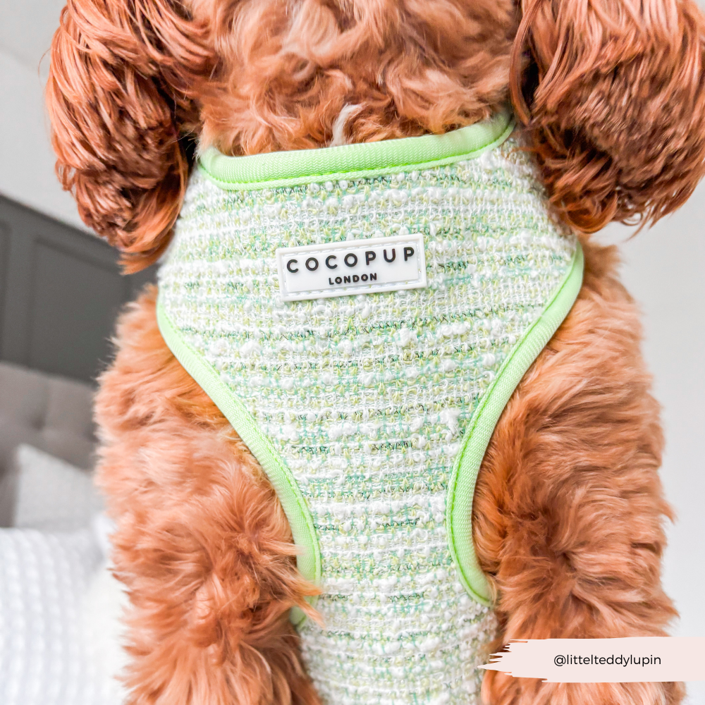Matcha Textured Tweed Adjustable Neck Harness