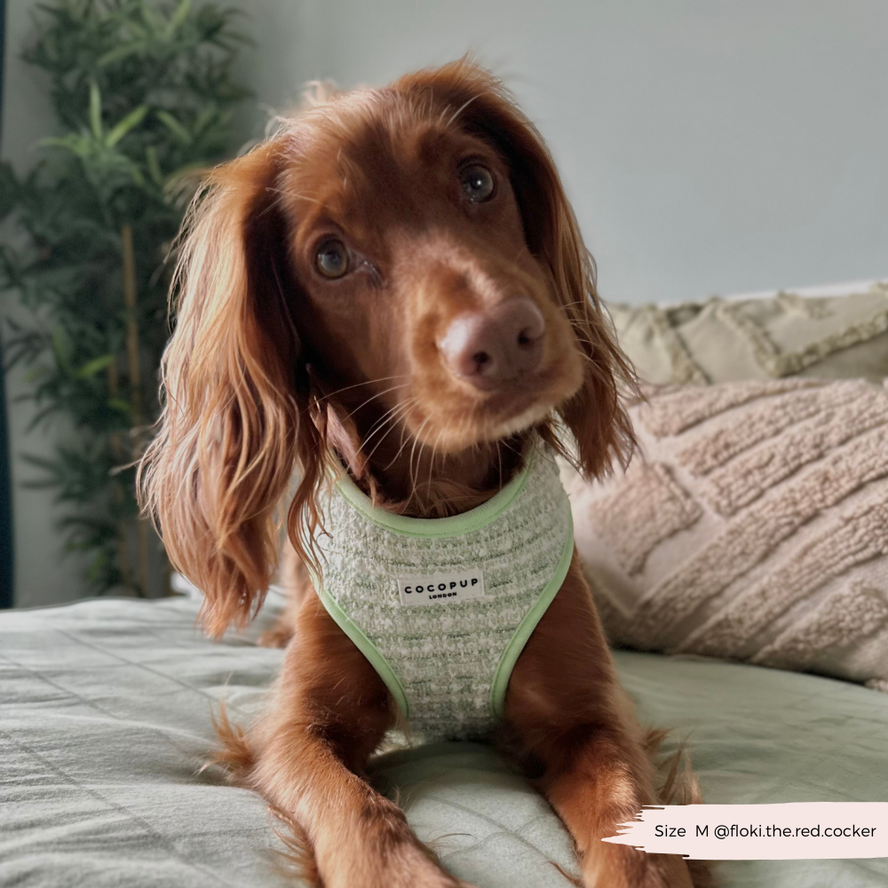 Matcha Textured Tweed Adjustable Neck Harness