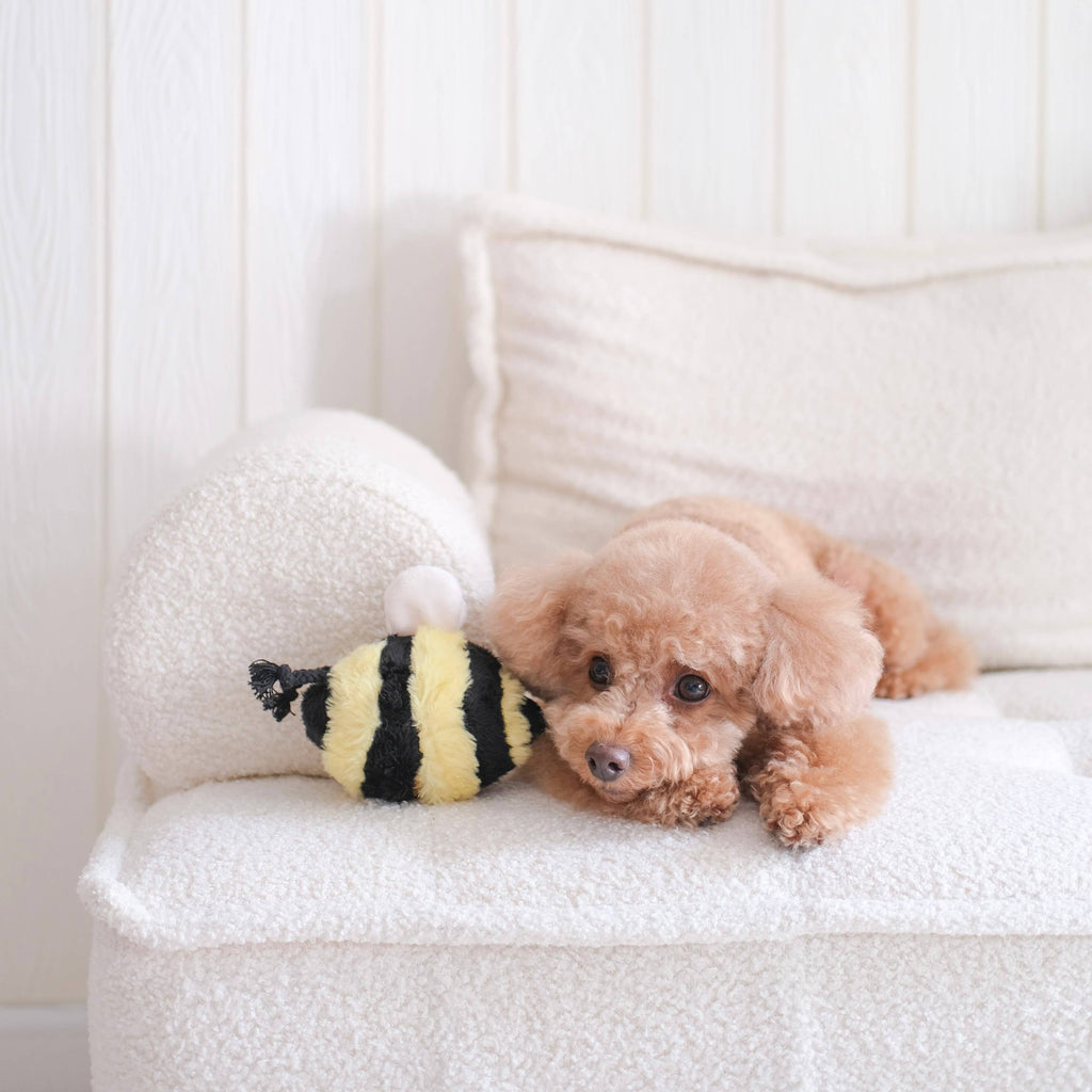 BEE POP//Enrichment Toy