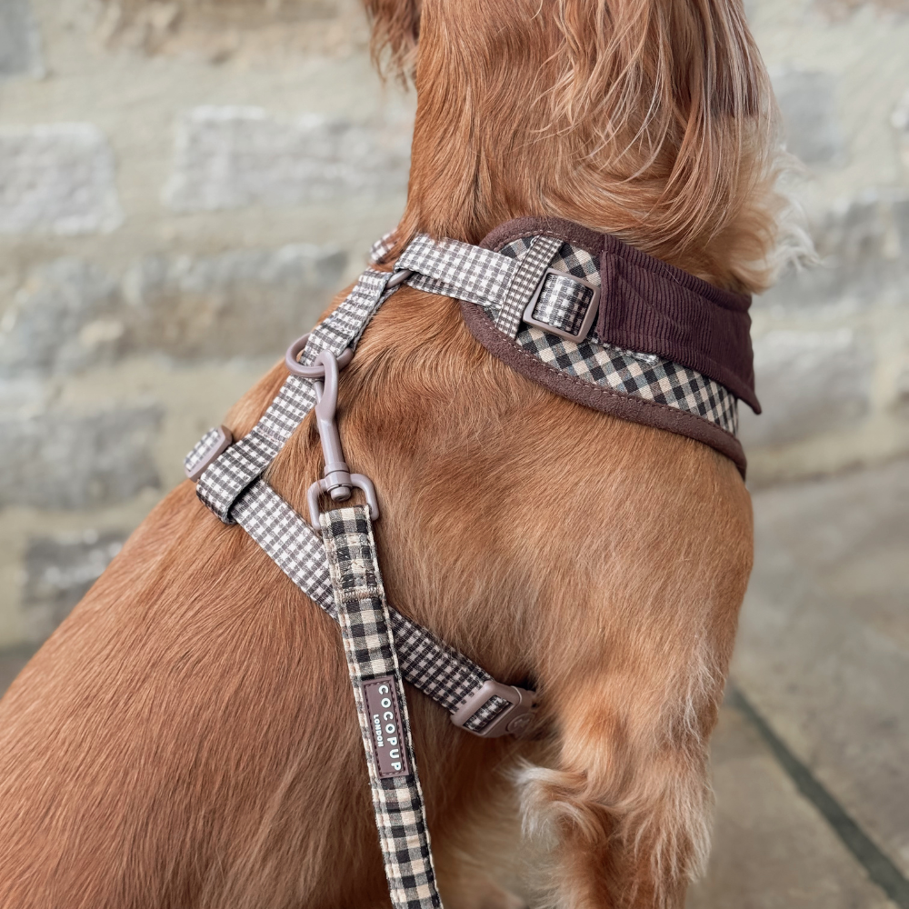 Cotswolds Check Adjustable Neck HARNESS