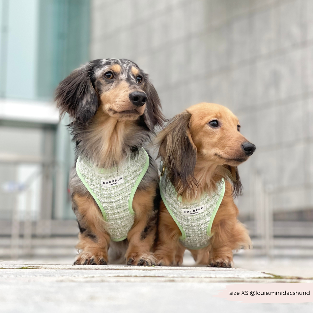Matcha Textured Tweed Adjustable Neck Harness