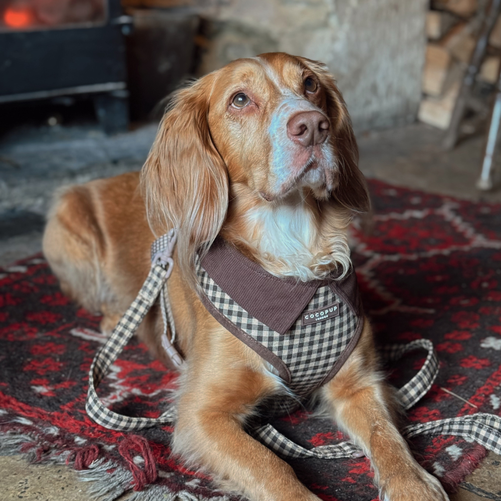 Cotswolds Check Adjustable Neck HARNESS