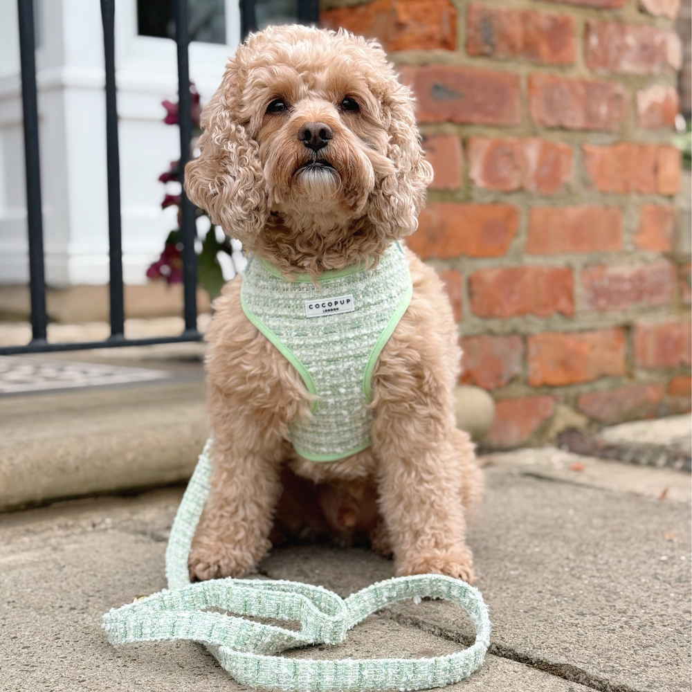 Matcha Textured Tweed Lead