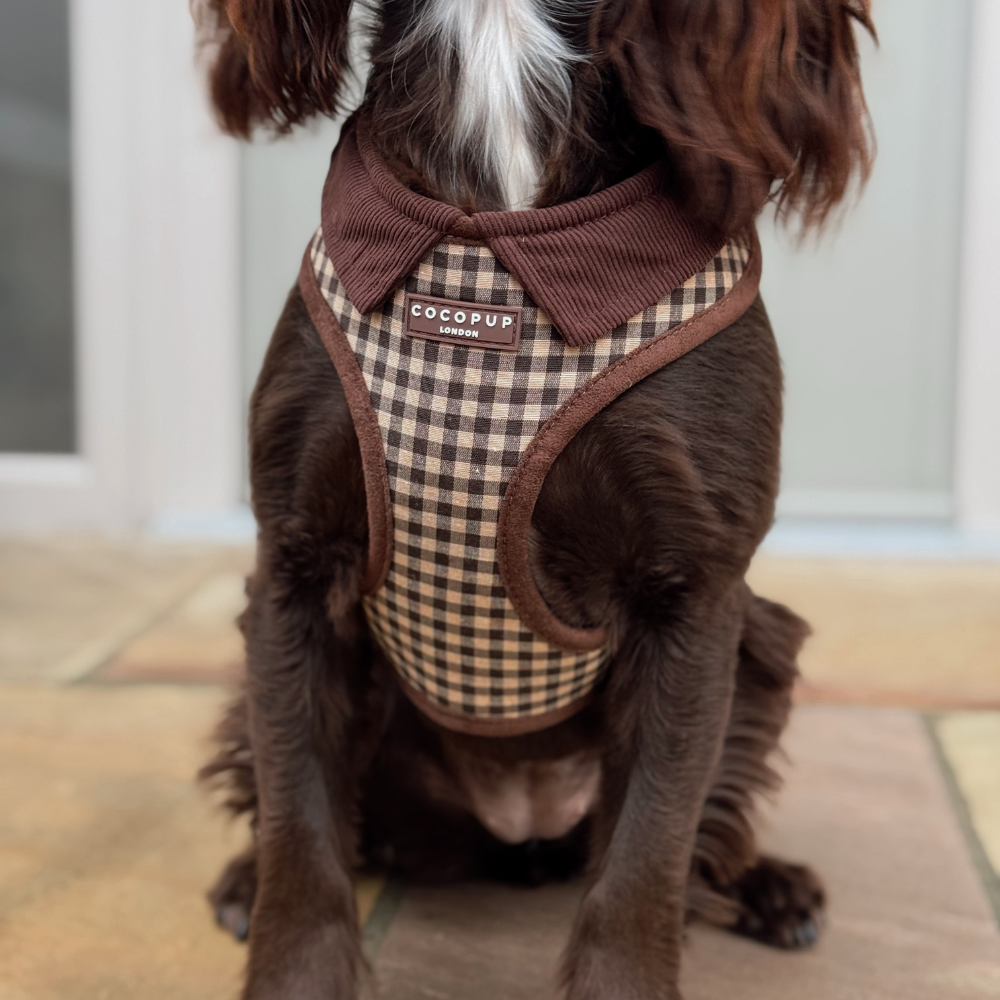 Cotswolds Check Adjustable Neck HARNESS