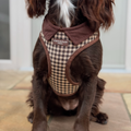 Cotswolds Check Adjustable Neck HARNESS