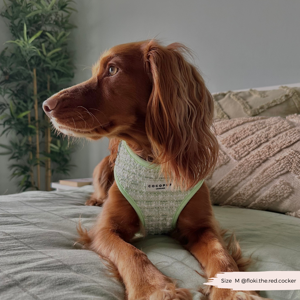 Matcha Textured Tweed Adjustable Neck Harness