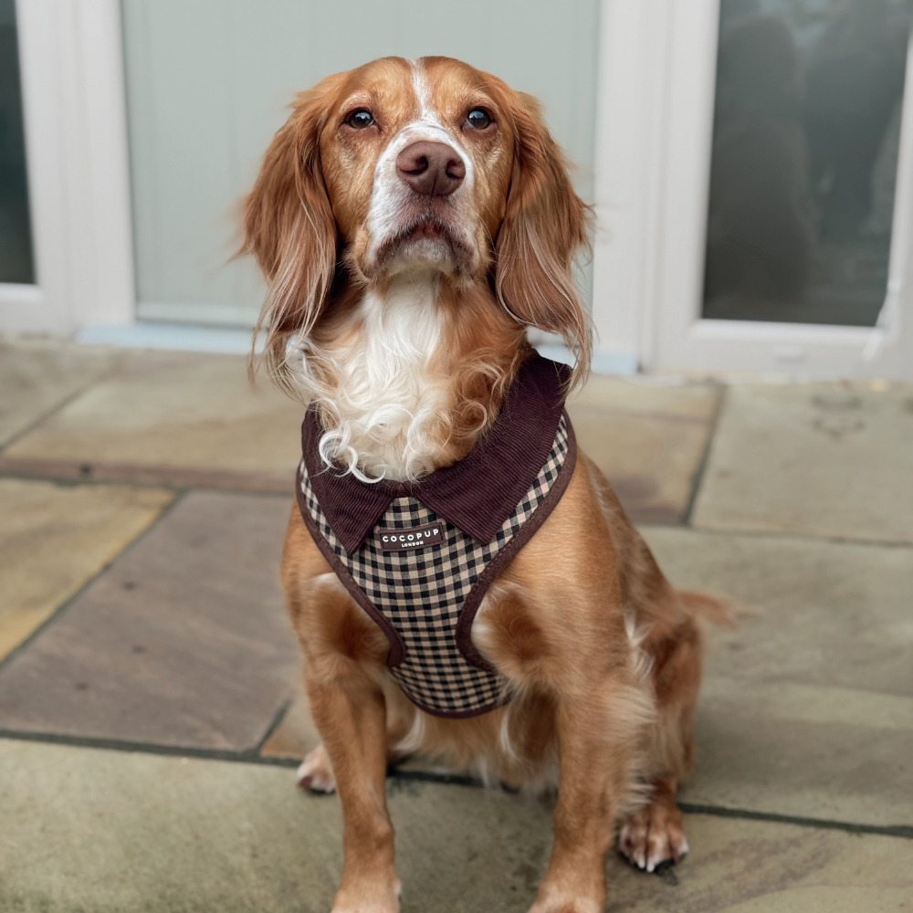 Cotswolds Check Adjustable Neck HARNESS
