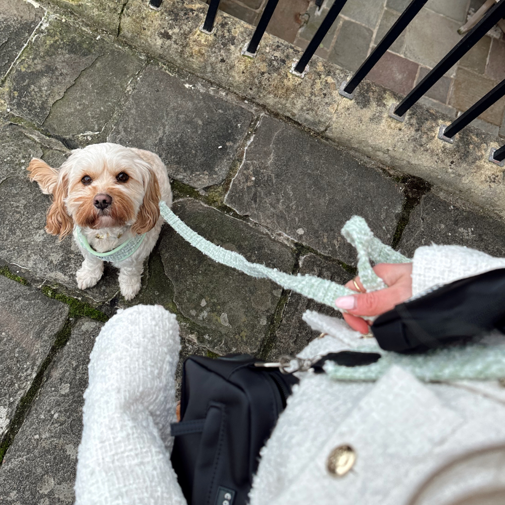 Matcha Textured Tweed Lead
