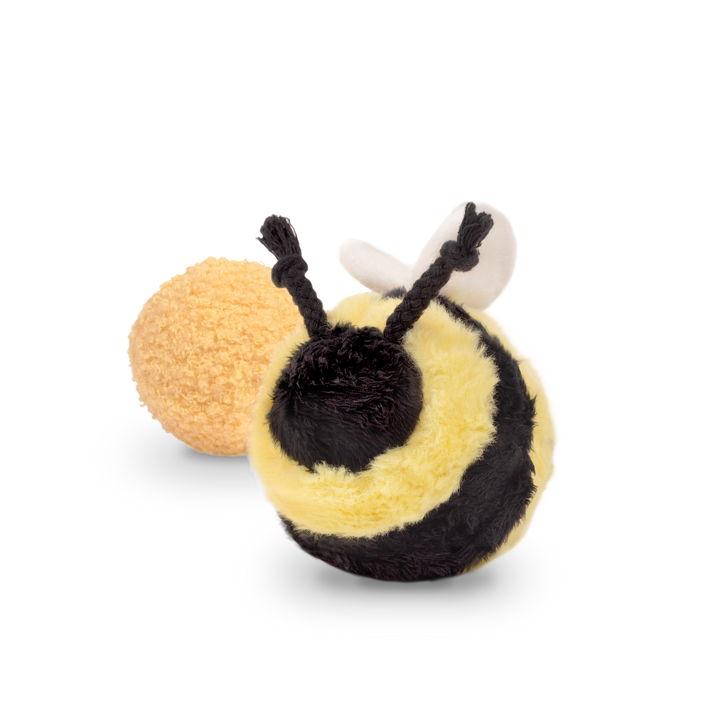 BEE POP//Enrichment Toy