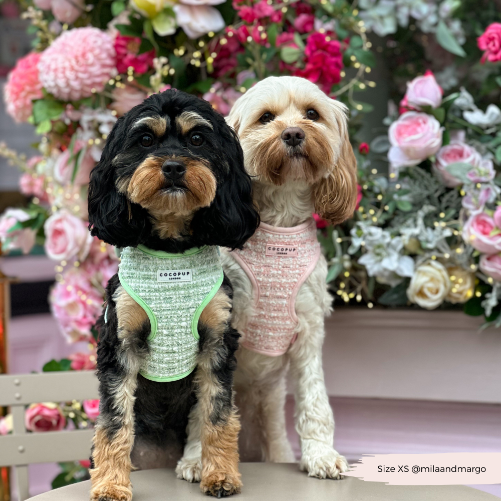 Matcha Textured Tweed Adjustable Neck Harness