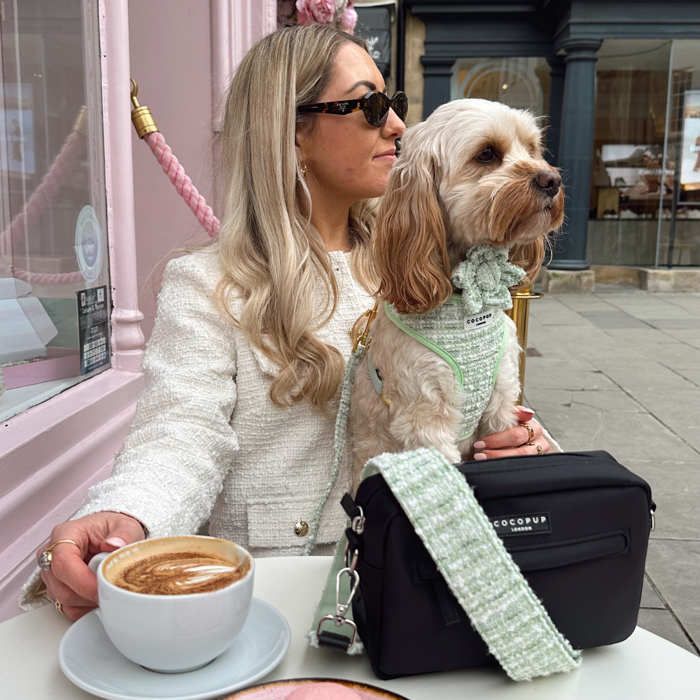Matcha Textured Tweed Adjustable Neck Harness