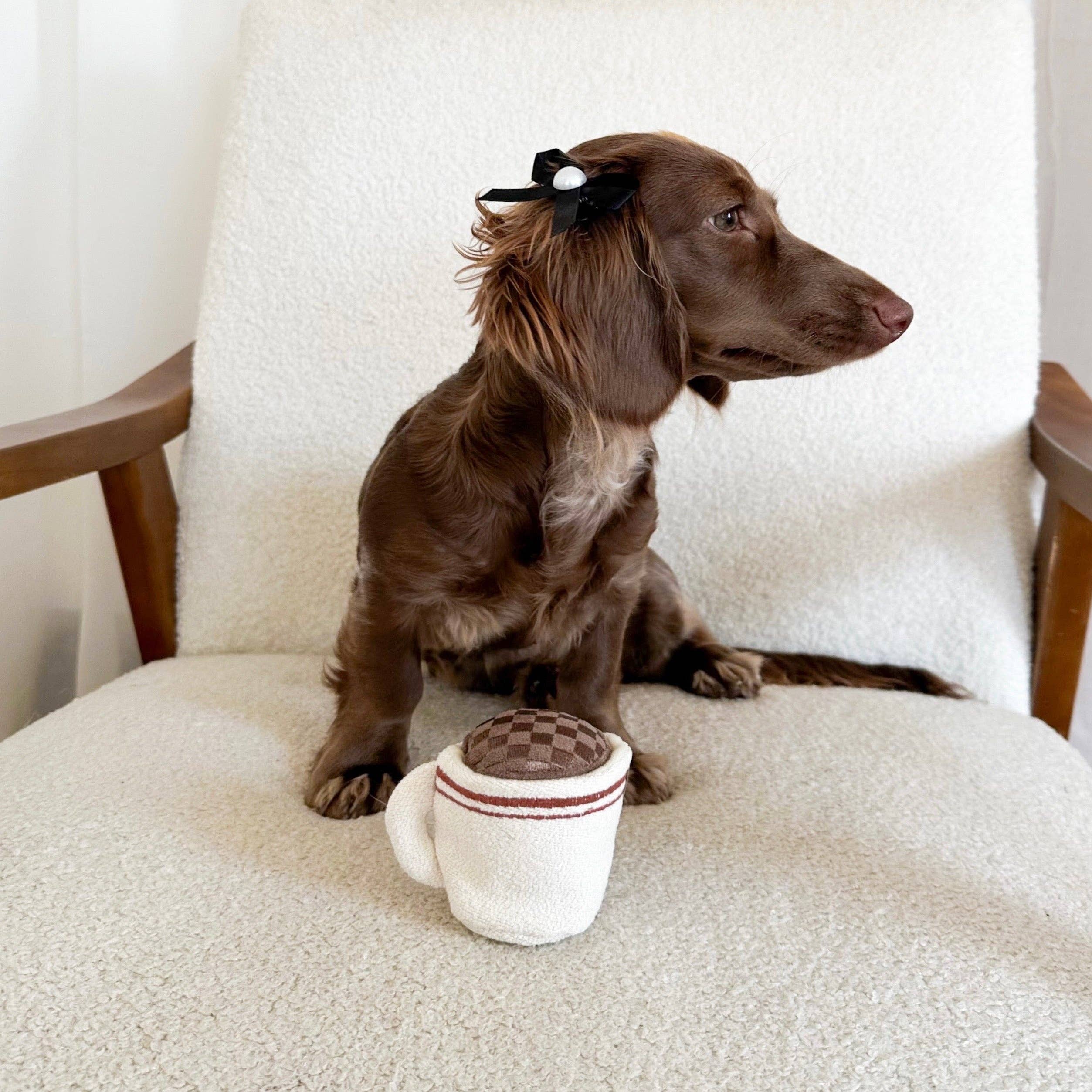 EXPRESSO POP//Enrichment Toy