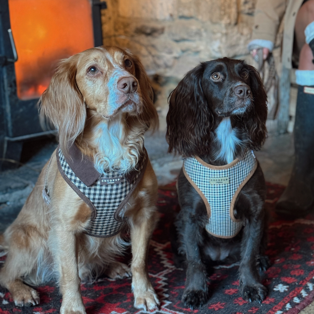 Cotswolds Check Adjustable Neck HARNESS