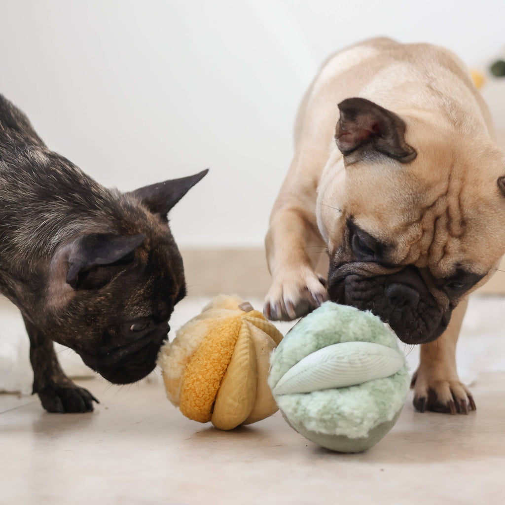 TOTO //Enrichment Toy (small, yellow)