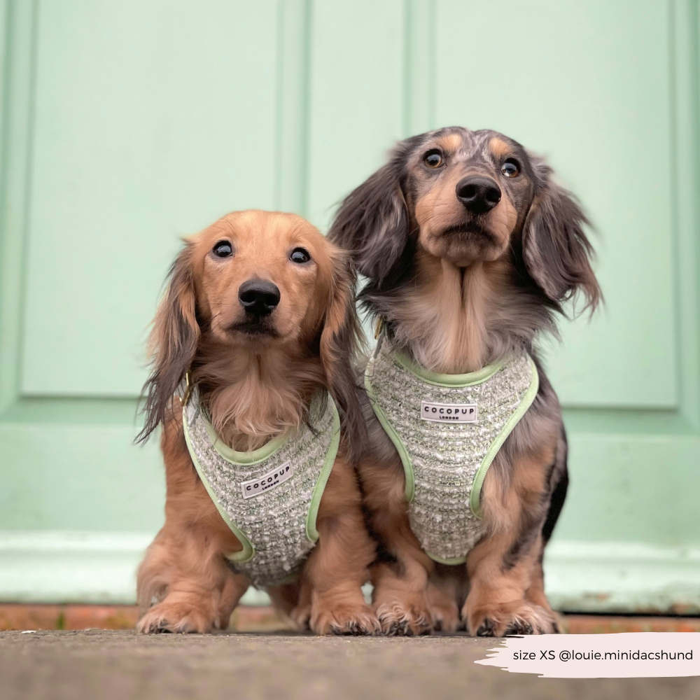 Matcha Textured Tweed Adjustable Neck Harness