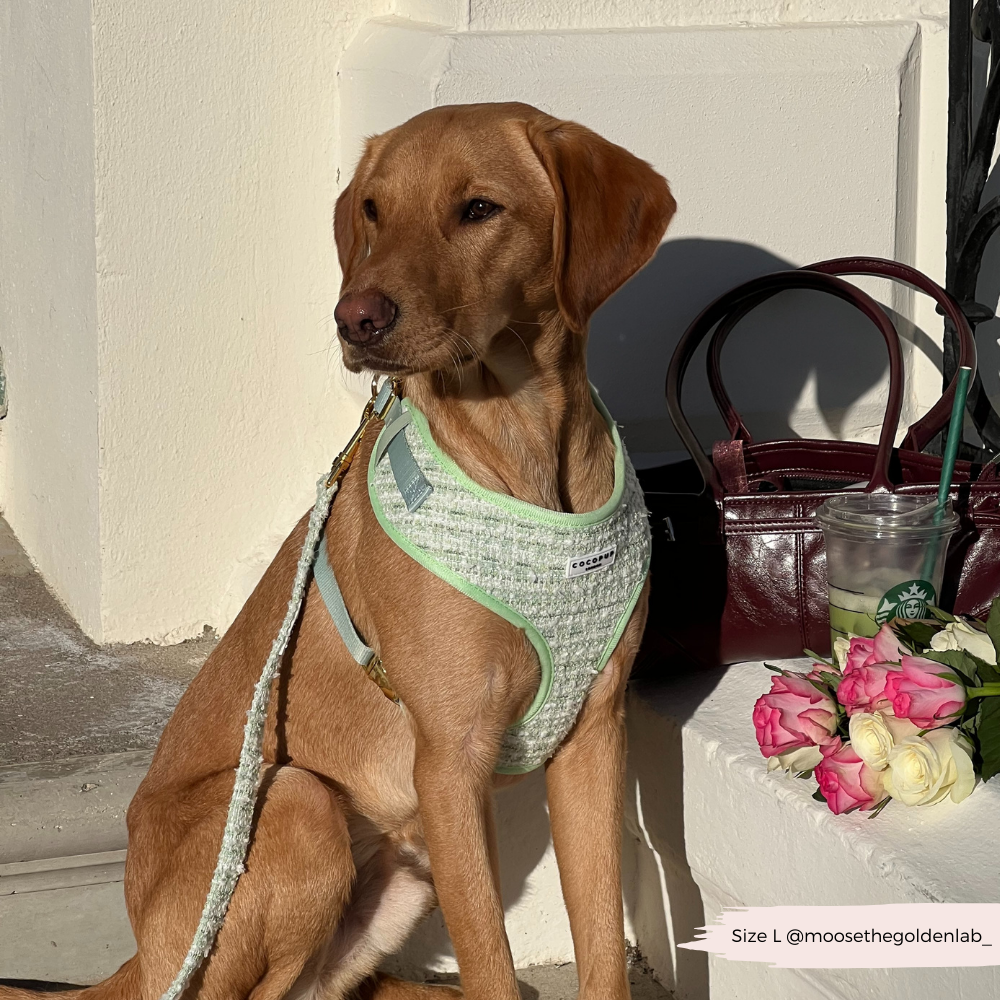 Matcha Textured Tweed Adjustable Neck Harness