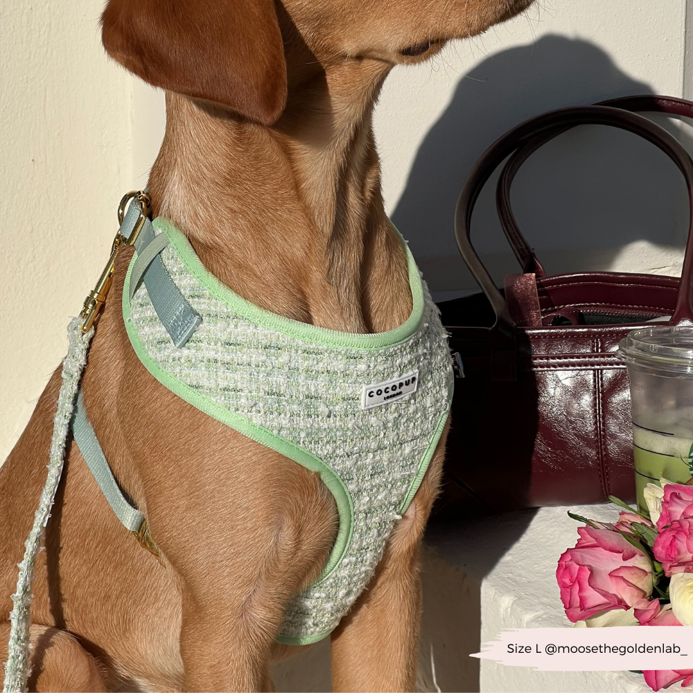 Matcha Textured Tweed Adjustable Neck Harness