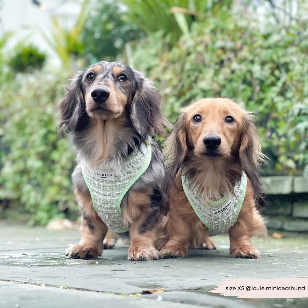 Matcha Textured Tweed Adjustable Neck Harness