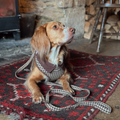 Cotswolds Check Lead
