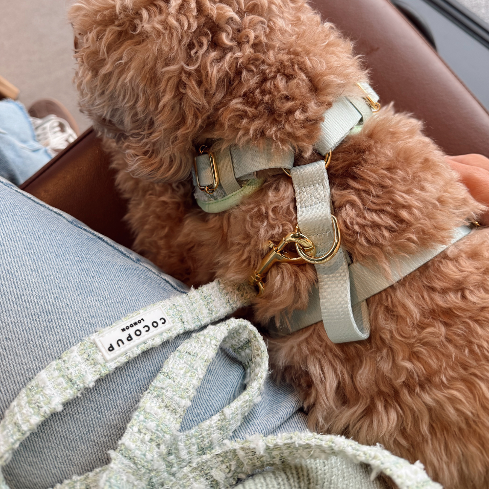 Matcha Textured Tweed Adjustable Neck Harness