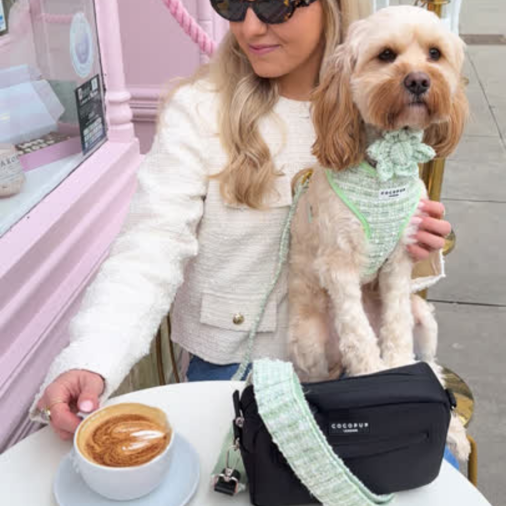 Matcha Textured Tweed Adjustable Neck Harness