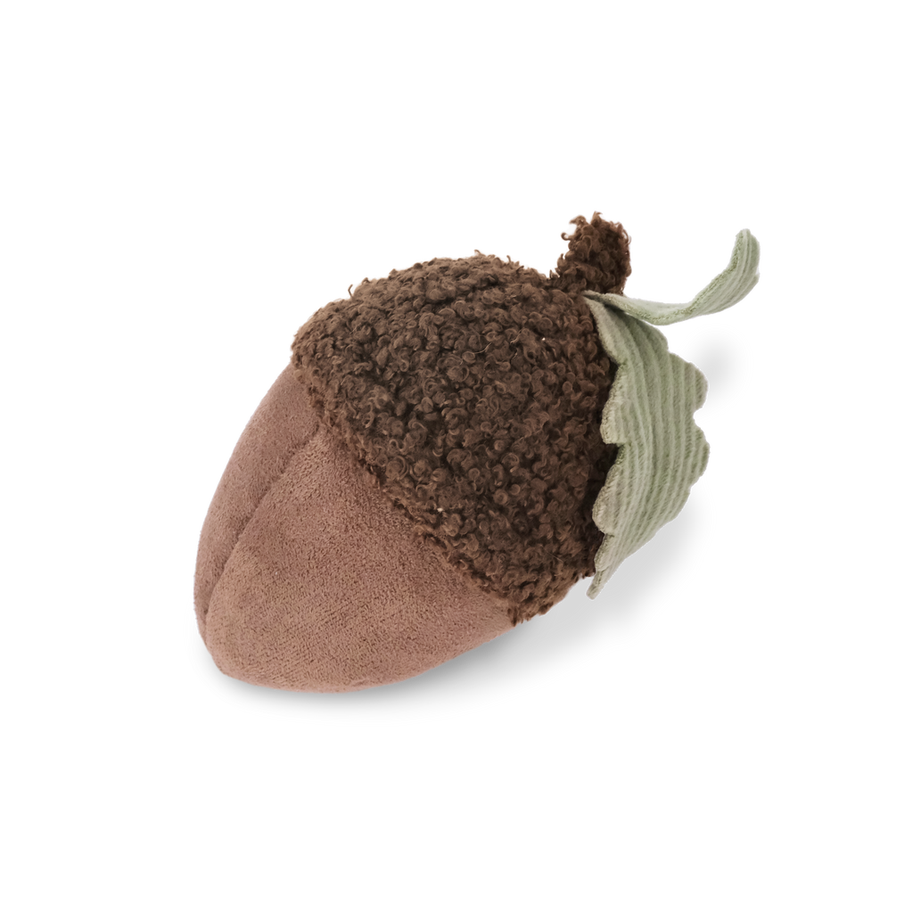 ACORN//Enrichment Toy