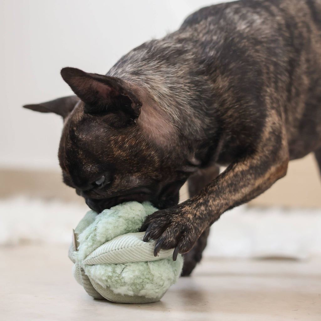 TOTO //Enrichment Toy (small, yellow)
