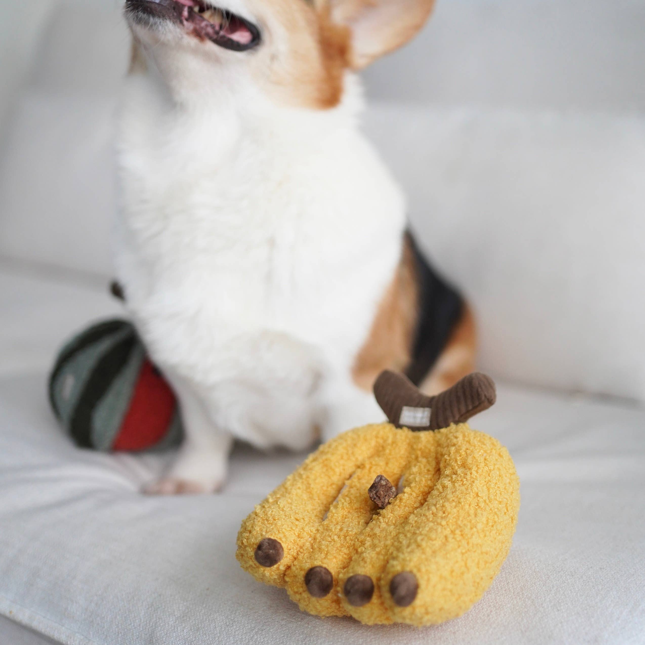 BANANA//Enrichment Toy