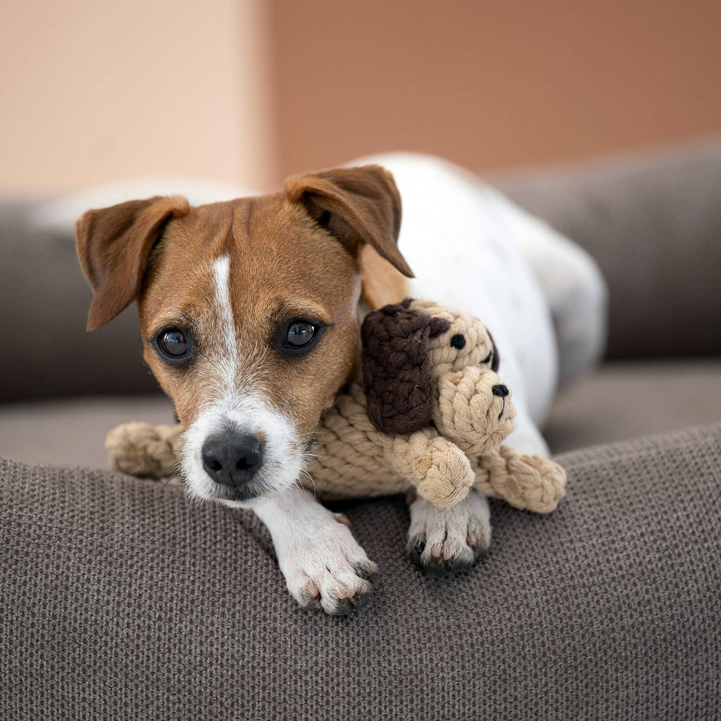 DOGGY DOG JR.
