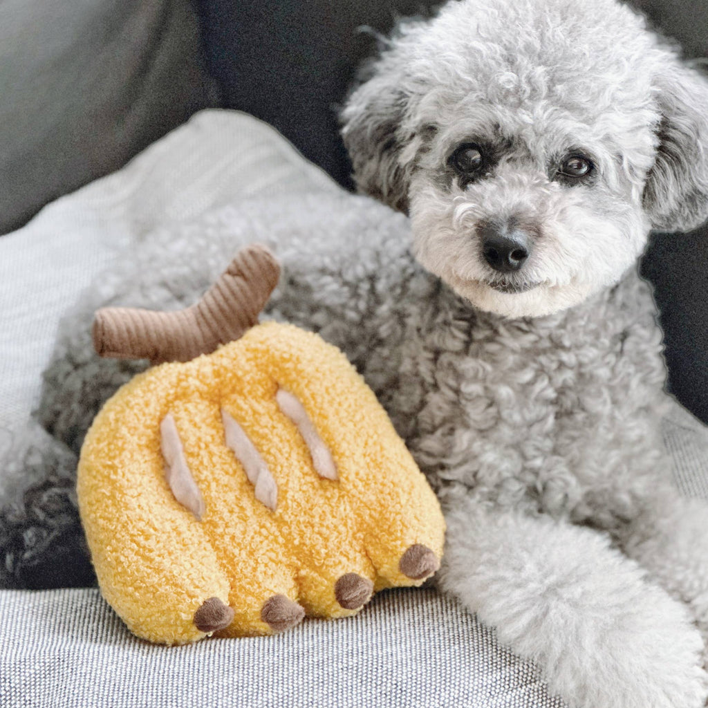 BANANA//Enrichment Toy