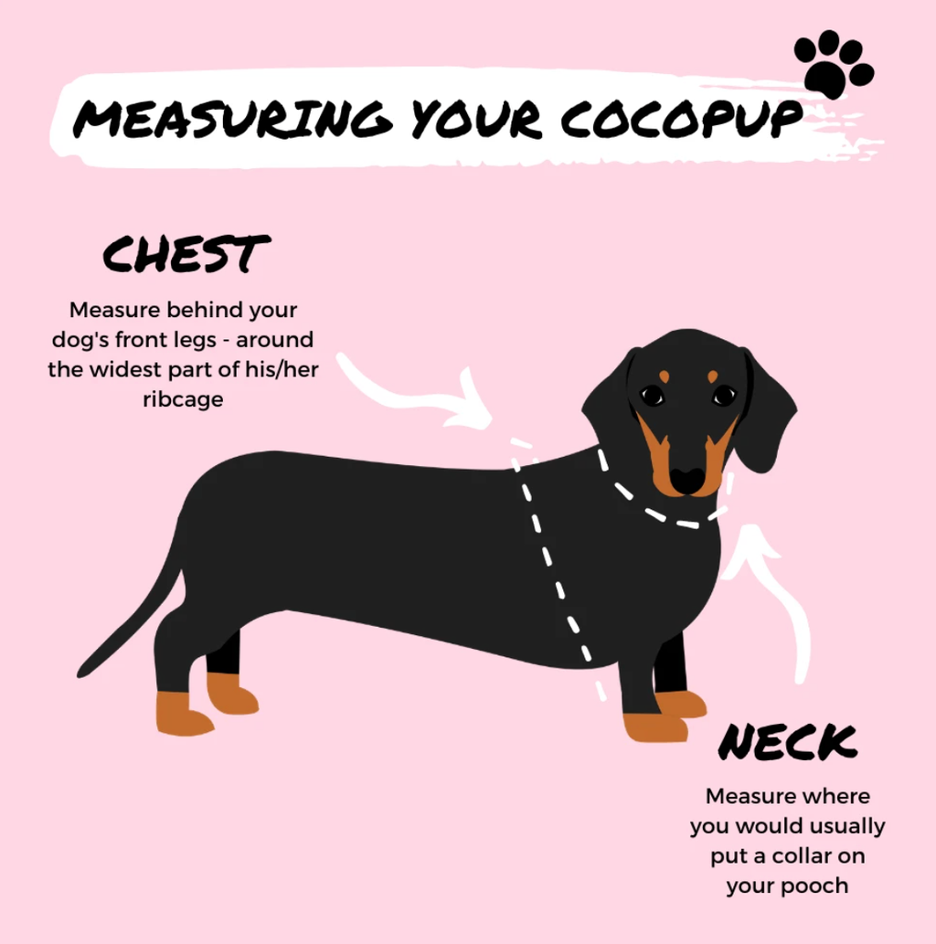 Chai Hearts Adjustable Neck HARNESS
