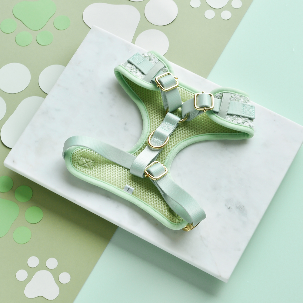 Matcha Textured Tweed Adjustable Neck Harness