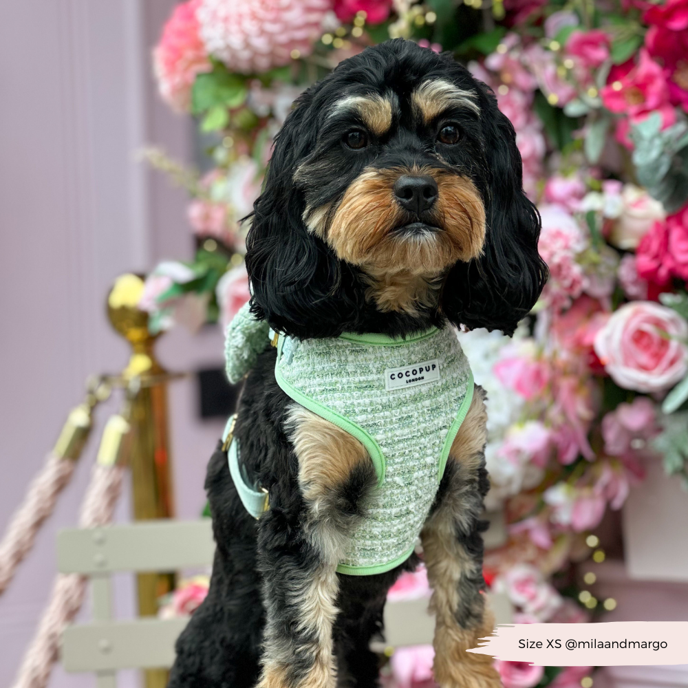 Matcha Textured Tweed Adjustable Neck Harness